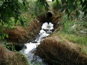 Chorume despejado no solo - contaminação criminosa